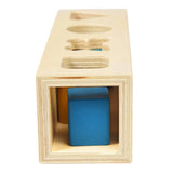 Shape Sorter - Wild Wonders
